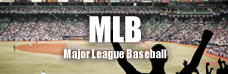 MLB観戦ガイド